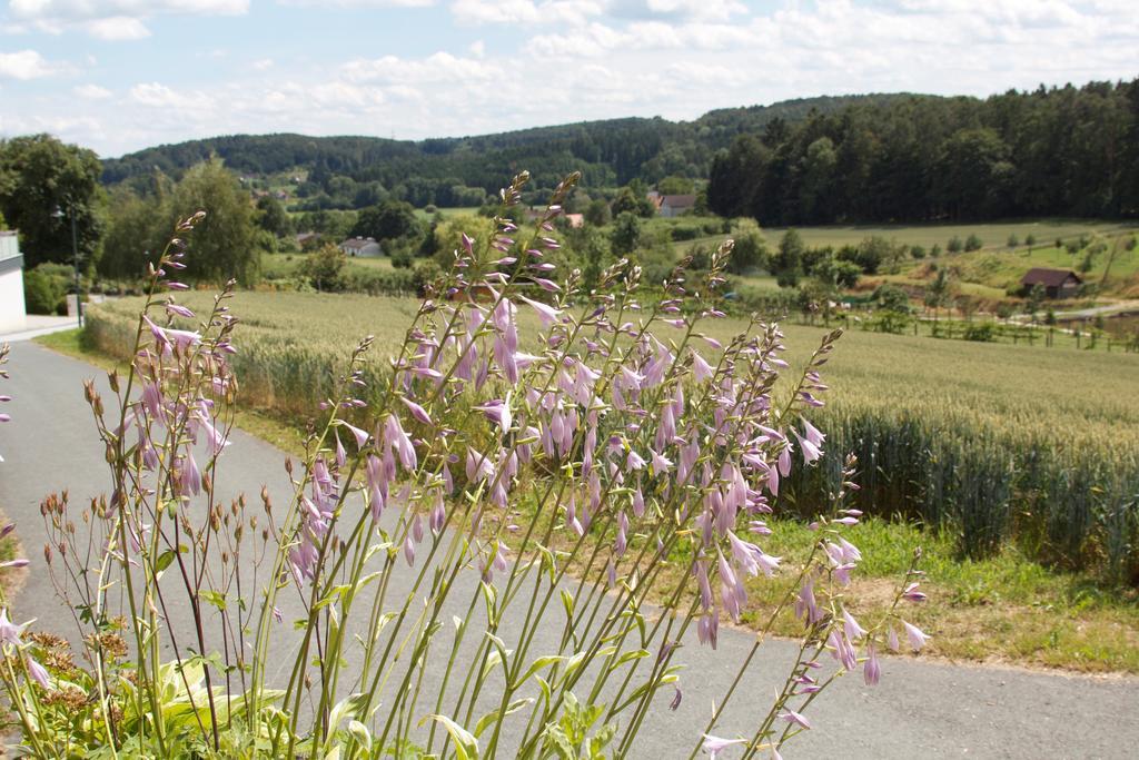 Ferienhaus Planetz Kaindorf  部屋 写真